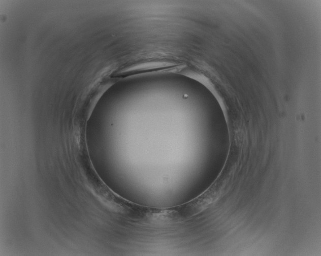 X0000073760072200608171407