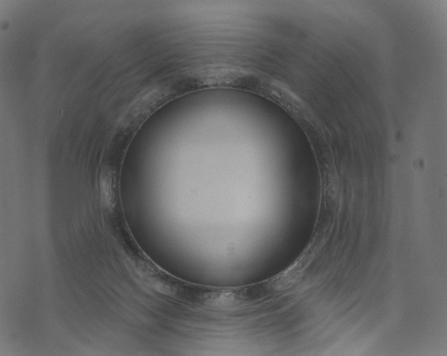 X0000073760074200608171407