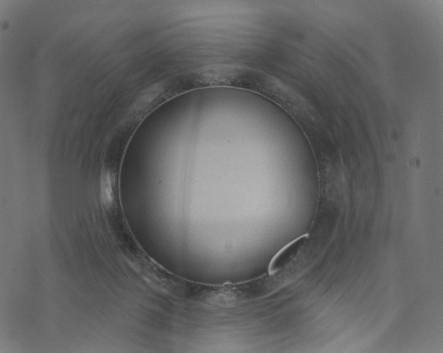 X0000073760075200608171407