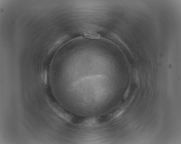 X0000073760076200608171407