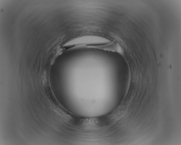 X0000073760077200608171407