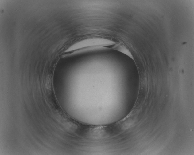 X0000073760078200608171407