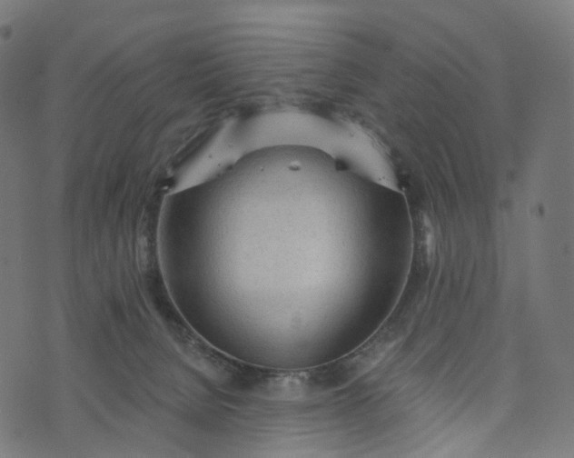 X0000073760080200608171407