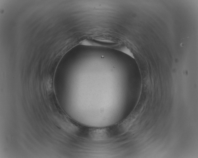 X0000073760081200608171407