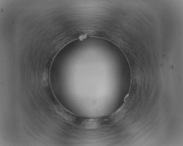 X0000073760082200608171407