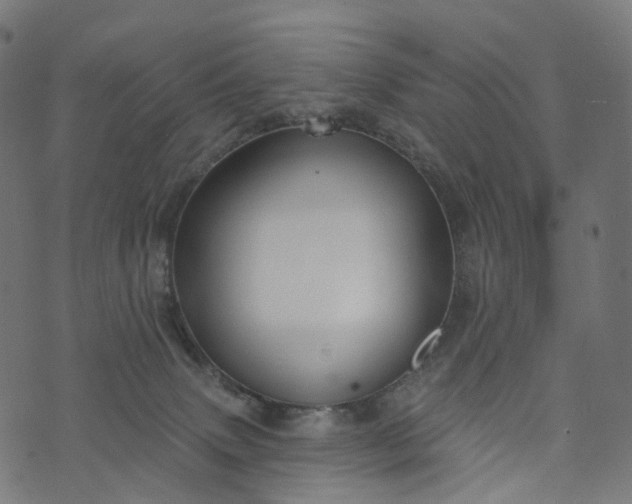 X0000073760083200608171407