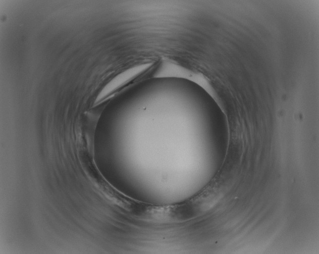 X0000073760084200608171407