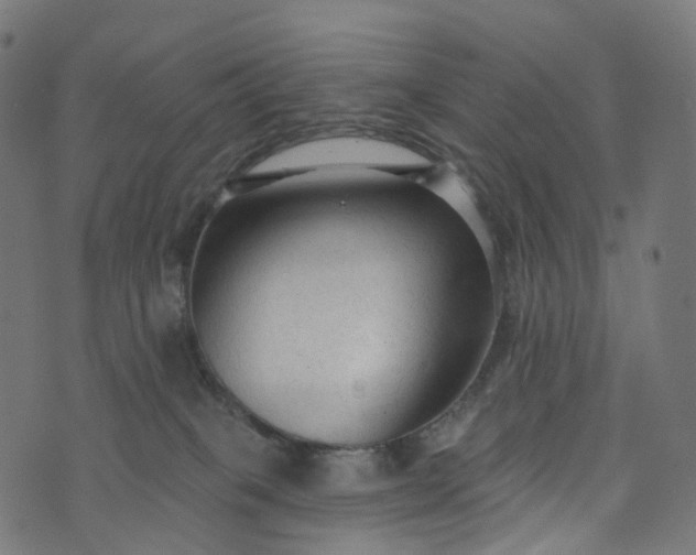 X0000073760085200608171407