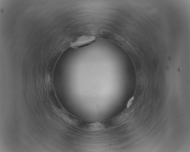 X0000073760087200608171407