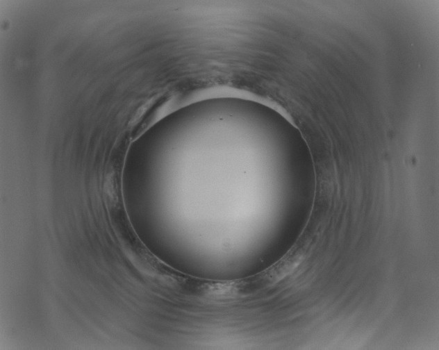 X0000073760088200608171407