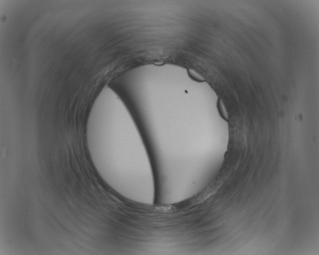 X0000073760089200608171407