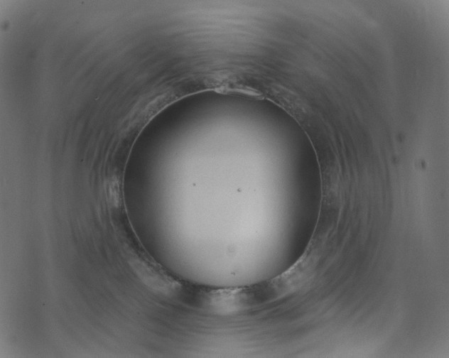 X0000073760090200608171407