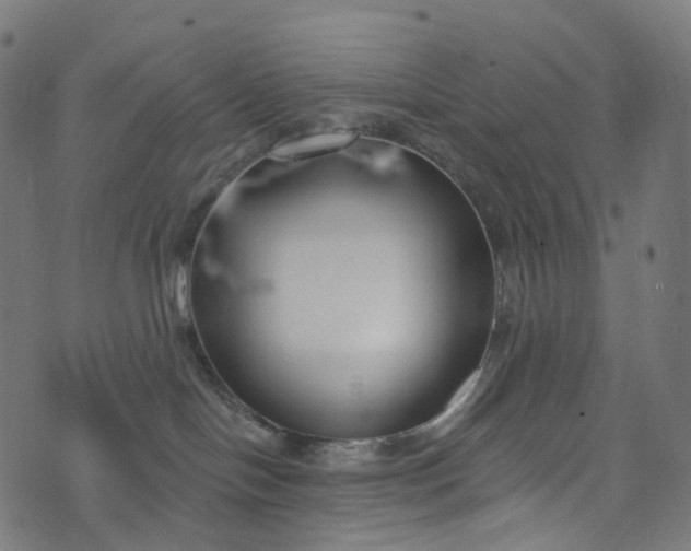 X0000073760094200608171407