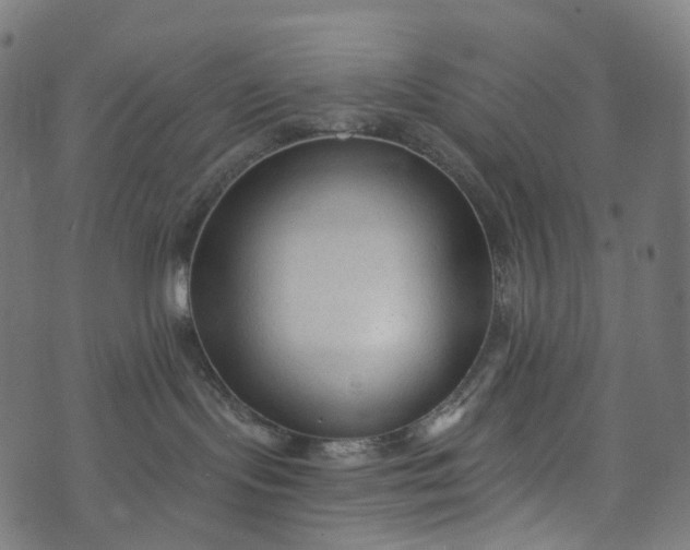 X0000073760095200608171407