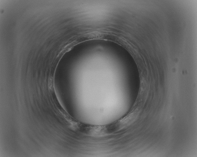 X0000073760096200608171407