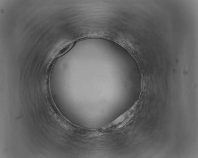 X0000073760098200608171406