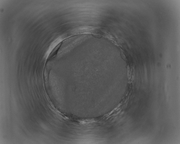 X0000073760099200608171406