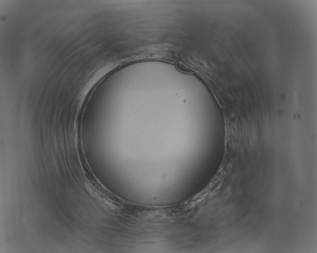 X0000073760100200608171406