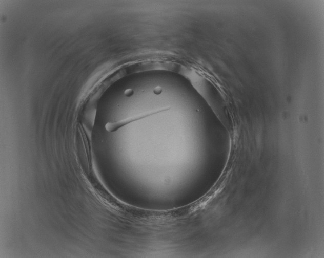 X0000073760101200608171406