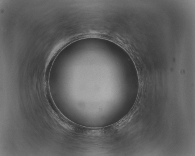 X0000073760102200608171406