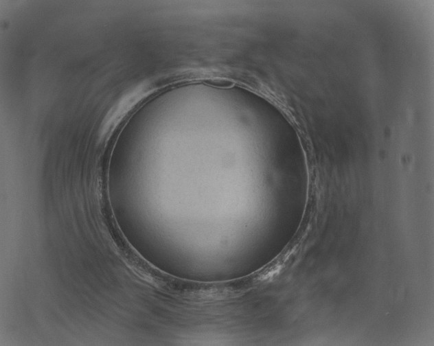 X0000073760103200608171406