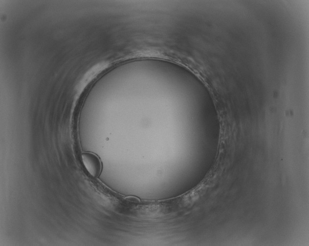 X0000073760104200608171406