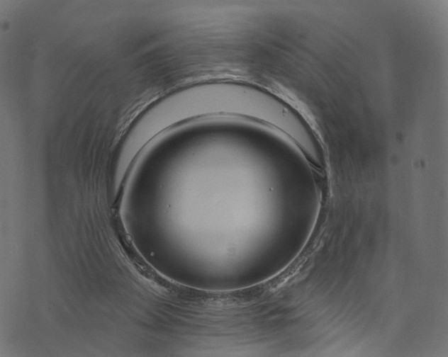 X0000073760105200608171406