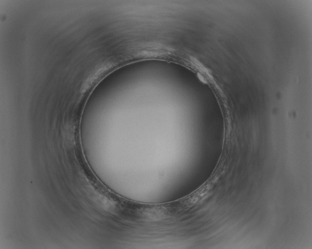 X0000073760106200608171406