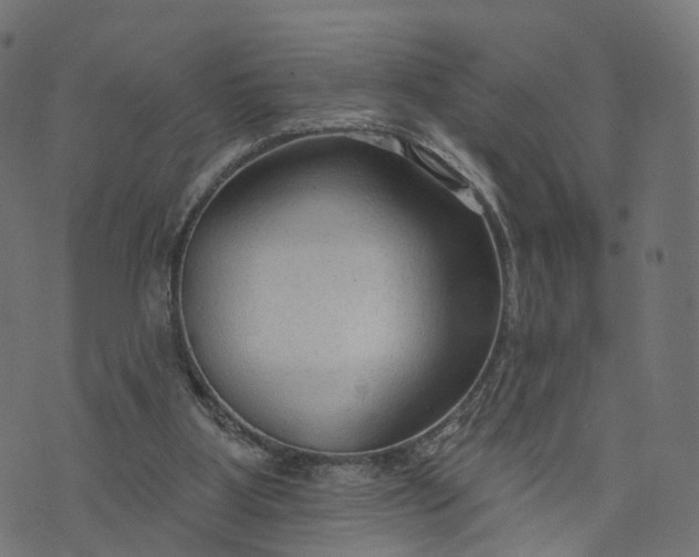 X0000073760107200608171406