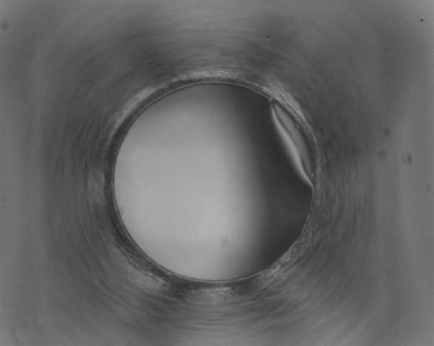 X0000073760108200608171406