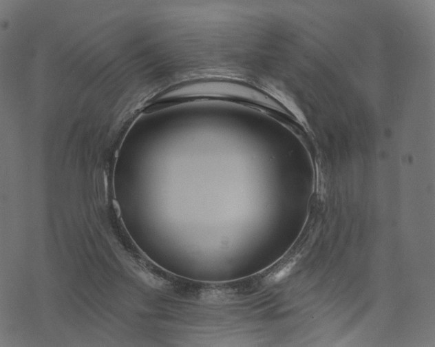 X0000073760109200608171406