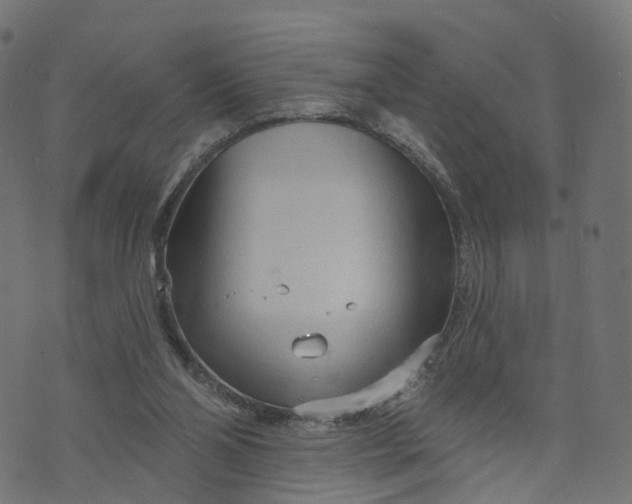 X0000073760110200608171406