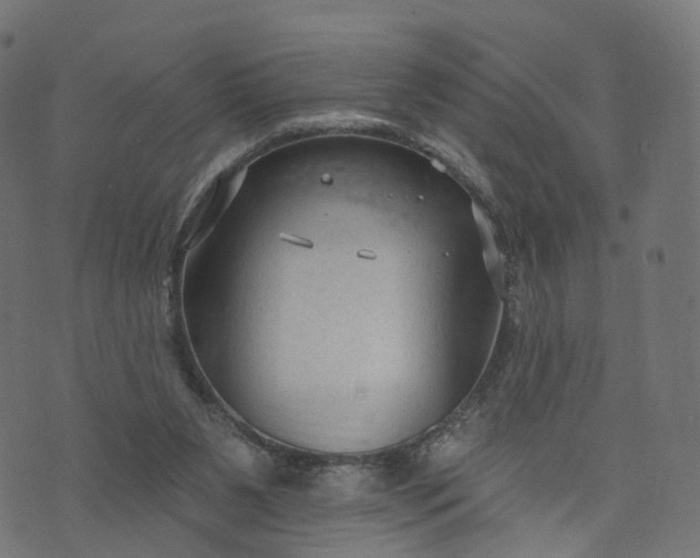 X0000073760111200608171406