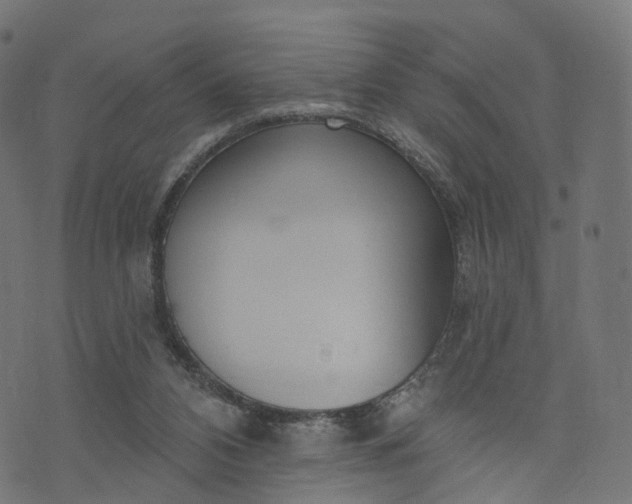 X0000073760112200608171406