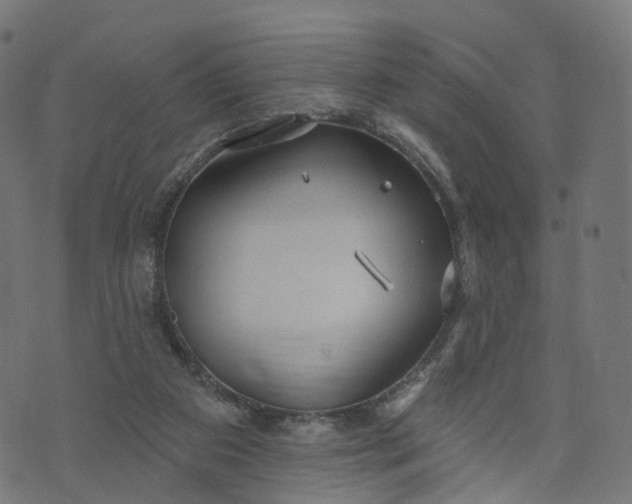 X0000073760113200608171406