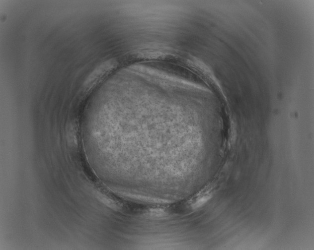 X0000073760114200608171406