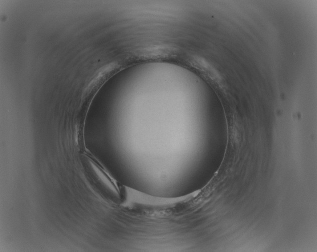 X0000073760115200608171406