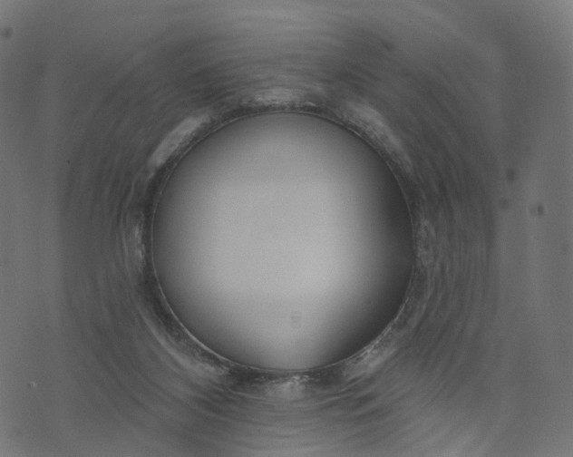 X0000073760116200608171406