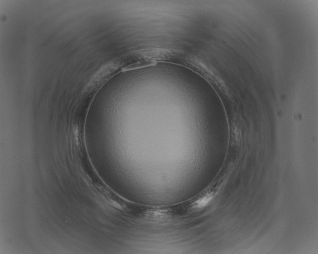 X0000073760117200608171406