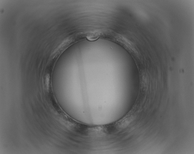 X0000073760118200608171406