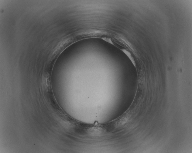 X0000073760119200608171406