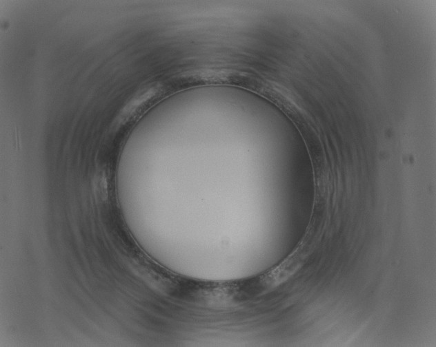 X0000073760120200608171406