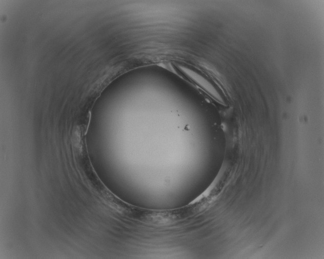 X0000073760121200608171406