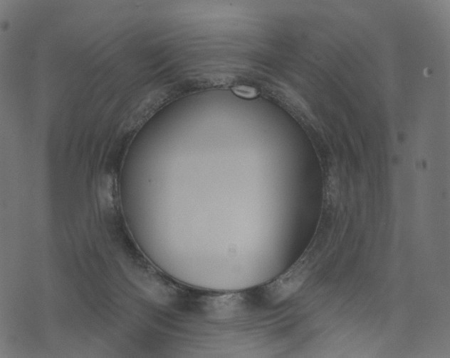 X0000073760122200608171406