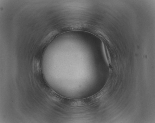 X0000073760123200608171406