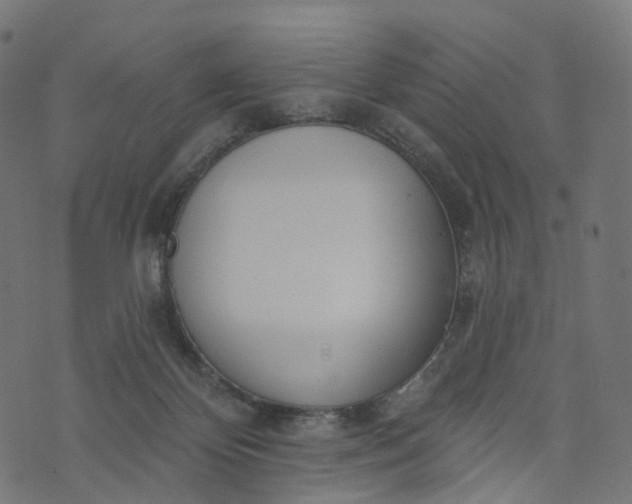 X0000073760124200608171406