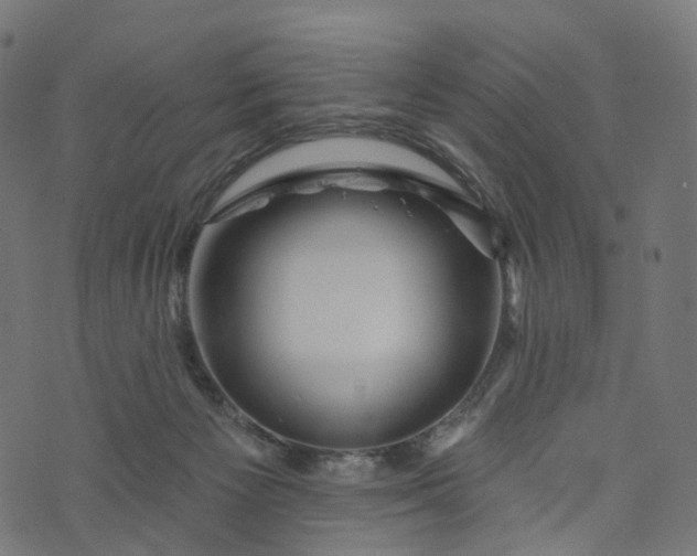 X0000073760125200608171406