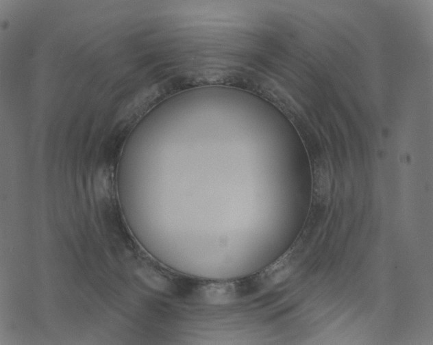 X0000073760126200608171406