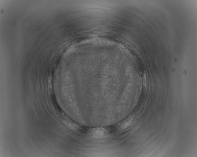 X0000073760127200608171406