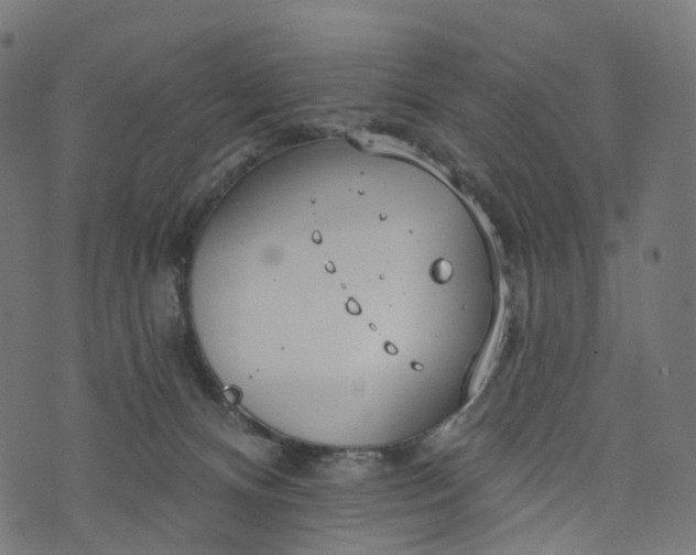 X0000073760128200608171406